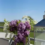 In Sterne Sehen Aus Dem Bett - 6 - Apartmán
